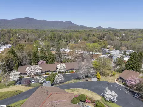 View/Area - 77 Chestnut St #OAK HALL 301, Tryon, NC 28782 photo 2 of 2