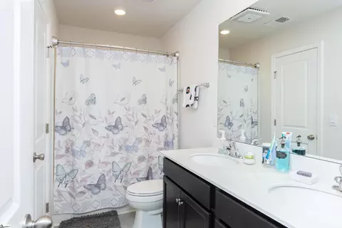 Bath - 182 Light Spring Rd, Easley, SC 29642 photo 2 of 3