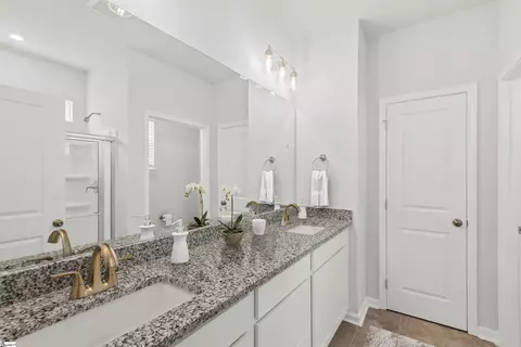 Other - 1141 Berry Patch Dr, Lyman, SC 29365 photo 12 of 13