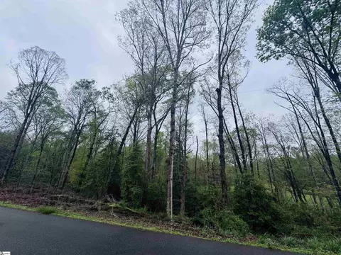 0 Country Glen Ln #LOT 5B, Pelzer, SC 29669