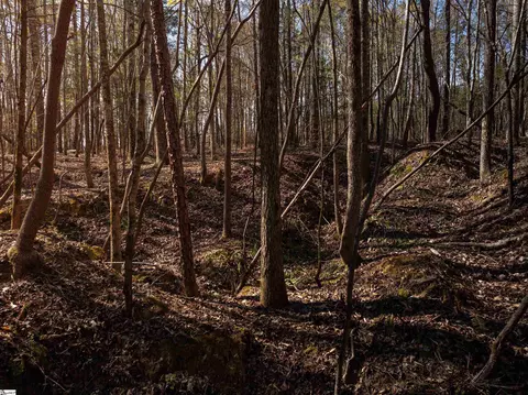 00 Ridge Rd, Enoree, SC 29335 photo 20