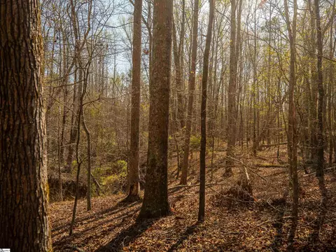 00 Ridge Rd, Enoree, SC 29335 photo 24
