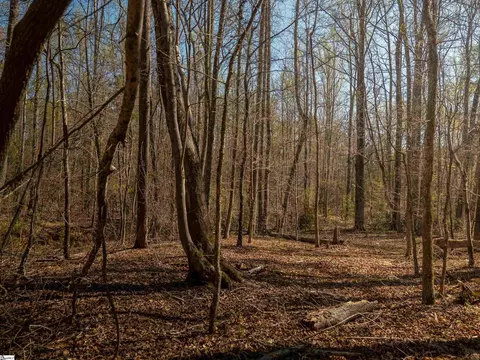 00 Ridge Rd, Enoree, SC 29335 photo 26