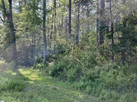 00 Woodland Dr, Clinton, SC 29325