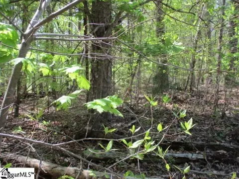 596 Laurel Dr, Westminster, SC 29693 photo 6