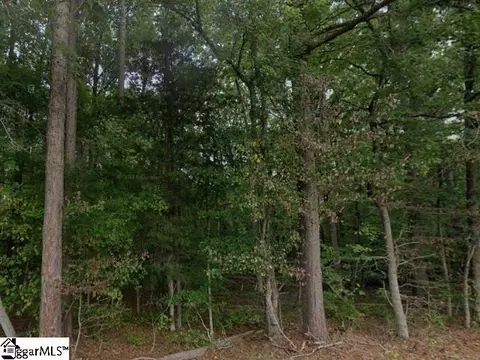 960 Brook Rd, Clinton, SC 29325 photo 2