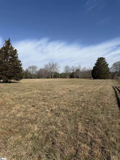 metric road LOT 2, Laurens, SC 29360