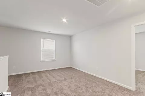 Other - 1106 Berry Patch Dr, Lyman, SC 29365 photo 5 of 8