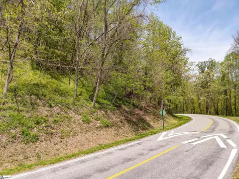 809 Plumley Summit Dr, Landrum, SC 29356 photo 12