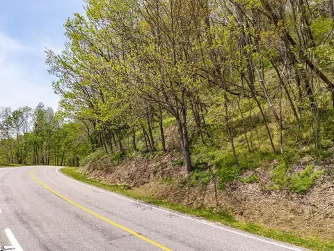 809 Plumley Summit Dr, Landrum, SC 29356 photo 14