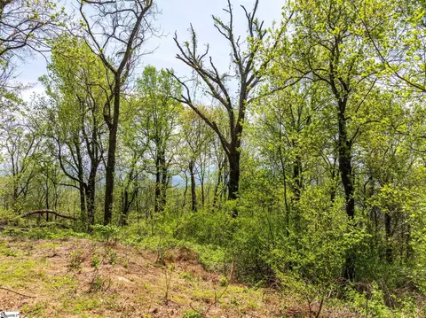 809 Plumley Summit Dr, Landrum, SC 29356 photo 6