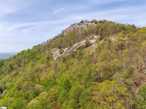 809 Plumley Summit Dr, Landrum, SC 29356 photo 22