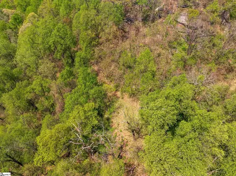 809 Plumley Summit Dr, Landrum, SC 29356 photo 19