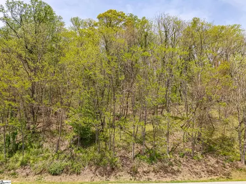 809 Plumley Summit Dr, Landrum, SC 29356 photo 8