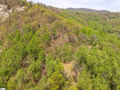 809 Plumley Summit Dr, Landrum, SC 29356 photo 17