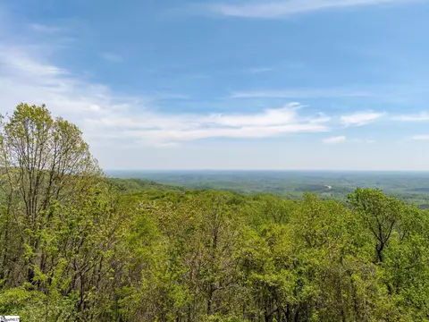 809 Plumley Summit Dr, Landrum, SC 29356 photo 3