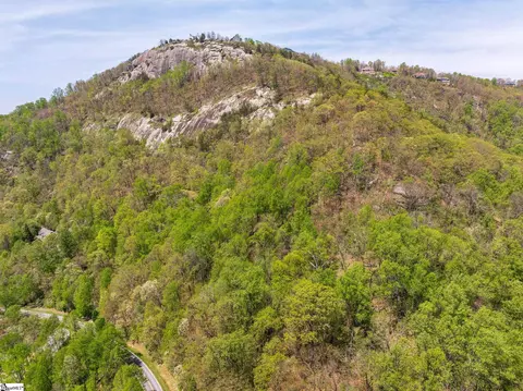 809 Plumley Summit Dr, Landrum, SC 29356 photo 25