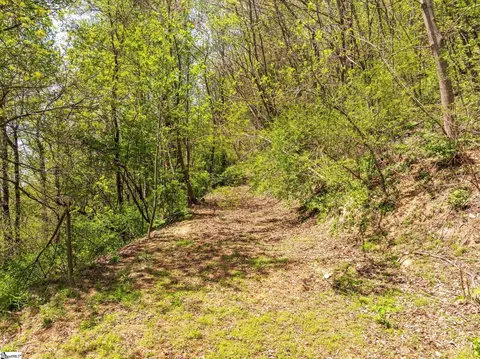 809 Plumley Summit Dr, Landrum, SC 29356 photo 7