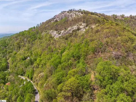 809 Plumley Summit Dr, Landrum, SC 29356 photo 26