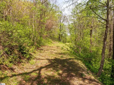 809 Plumley Summit Dr, Landrum, SC 29356 photo 4