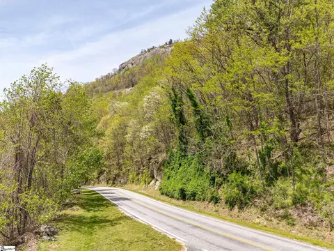 809 Plumley Summit Dr, Landrum, SC 29356 photo 10