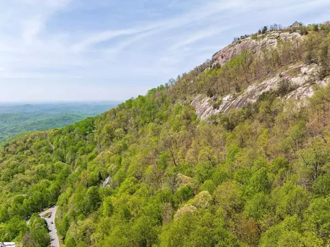 809 Plumley Summit Dr, Landrum, SC 29356 photo 28