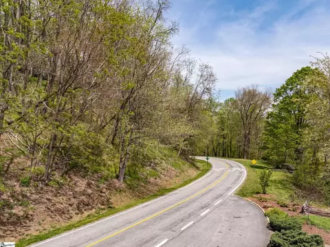 809 Plumley Summit Dr, Landrum, SC 29356 photo 13