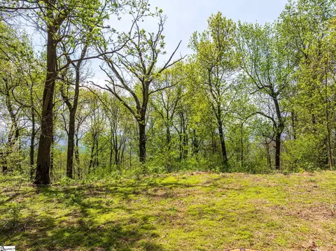 809 Plumley Summit Dr, Landrum, SC 29356 photo 5