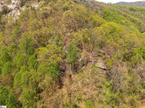 809 Plumley Summit Dr, Landrum, SC 29356 photo 20