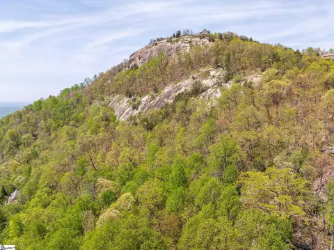 809 Plumley Summit Dr, Landrum, SC 29356 photo 27