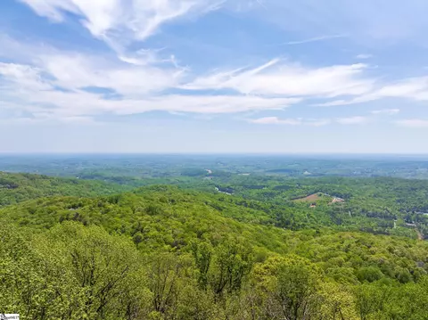 809 Plumley Summit Dr, Landrum, SC 29356 photo 16