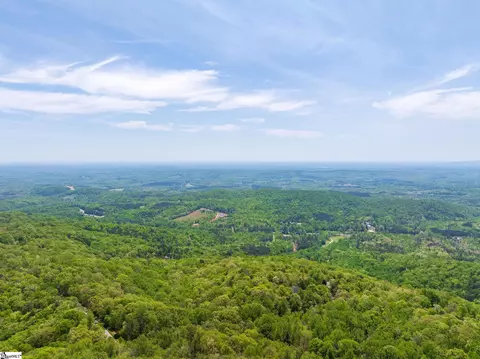 809 Plumley Summit Dr, Landrum, SC 29356 photo 18