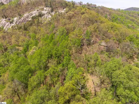809 Plumley Summit Dr, Landrum, SC 29356 photo 21