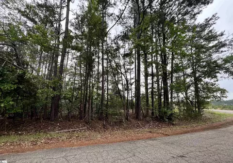 Columbia Road, Honea Path, SC 29654 photo 3