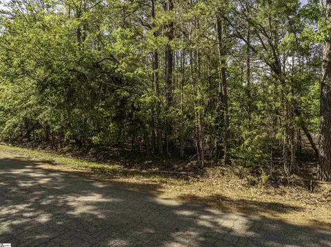 Columbia Road, Honea Path, SC 29654 photo 4