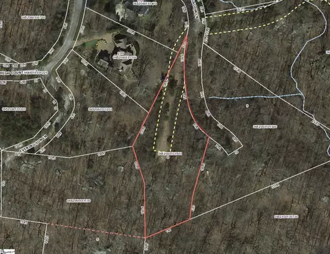 8 Pine Shadow Ln, Landrum, SC 29356 photo 12