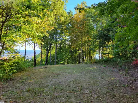 8 Pine Shadow Ln, Landrum, SC 29356 photo 9