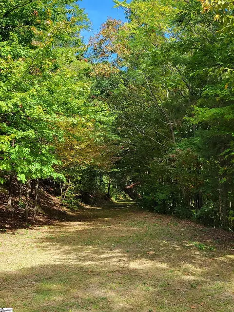 8 Pine Shadow Ln, Landrum, SC 29356 photo 8
