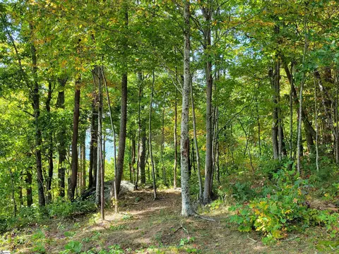 8 Pine Shadow Ln, Landrum, SC 29356 photo 7