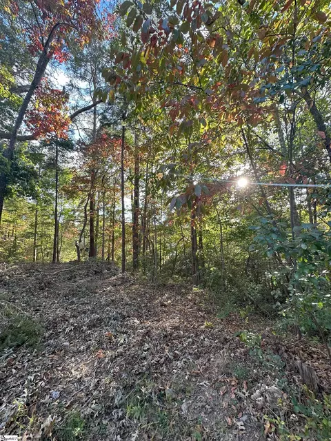 200 Wild Ginger Way, Sunset, SC 29685 photo 8