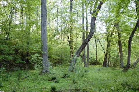 Other - 318 Frontier Dr, Easley, SC 29640 photo 13 of 17