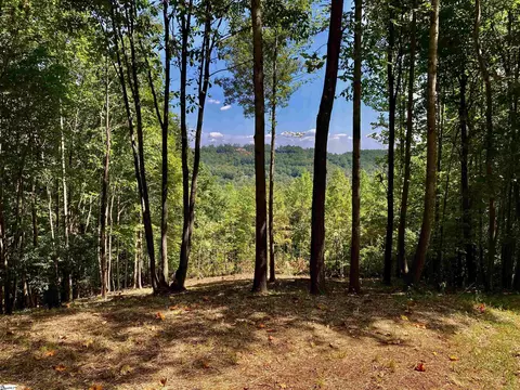 501 Blue Bonnet Trl, Marietta, SC 29661