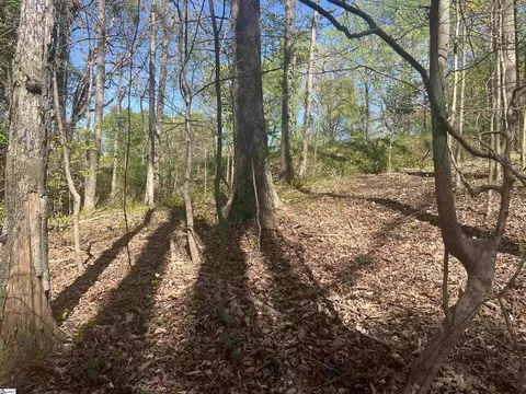 00 76 Hwy, Clemson, SC 29631 photo 25