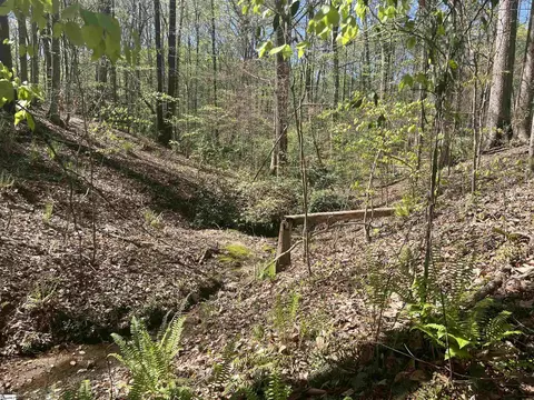 00 76 Hwy, Clemson, SC 29631 photo 14
