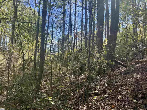00 76 Hwy, Clemson, SC 29631 photo 24