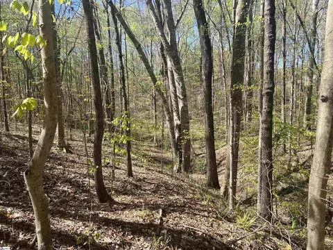 00 76 Hwy, Clemson, SC 29631 photo 15