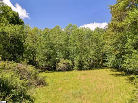698 Mount Bethel Rd, Sunset, SC 29685 photo 38