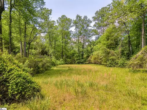 698 Mount Bethel Rd, Sunset, SC 29685 photo 42