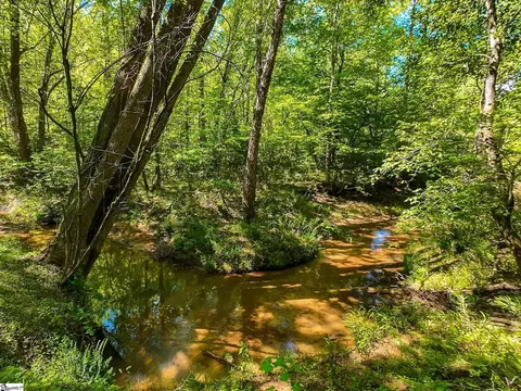 698 Mount Bethel Rd, Sunset, SC 29685 photo 33