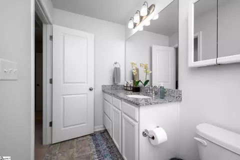 172 Clingstone Trl, Duncan, SC 29334 photo 15